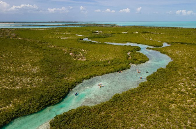 2 Hours Clear Kayaking Activity on Mangrove Cay - Equipment and group size