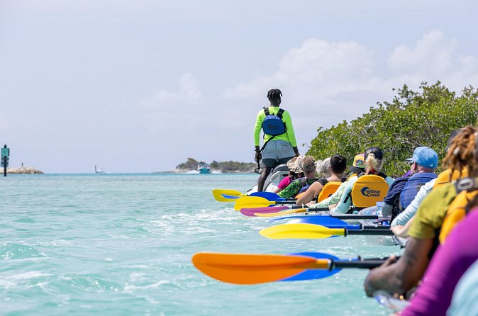 2 Hours Clear Kayaking Activity on Mangrove Cay - Getting to the marina and back