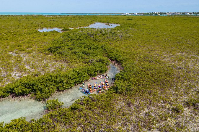 2 Hours Clear Kayaking Activity on Mangrove Cay - Is $125 a fair price?