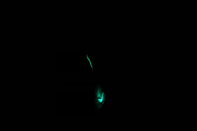 3 hour Glow Worm Sunset Cruise from Providenciales - Why the glow worm show is worth planning around