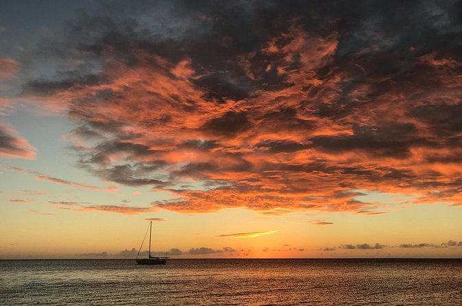 3 hour Glow Worm Sunset Cruise from Providenciales - The short green show after dark