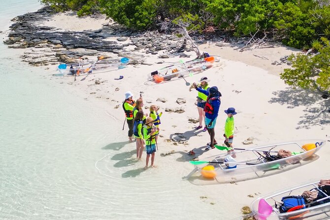 3HR Clear Kayak Mangrove and iguana island Tour in Leeward - Clear kayaks and shallow-water wildlife near Leeward
