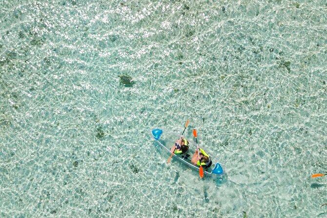 3HR Clear Kayak Mangrove and iguana island Tour in Leeward - Wind, tide, and weather are not minor details