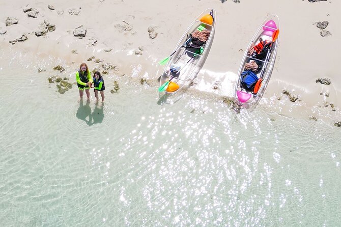 3HR Clear Kayak Mangrove and iguana island Tour in Leeward - Mangrove Cay: about two hours around the shallow channels