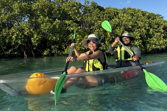 3hr Clear Kayak Tour of Mangroves, Marine Life and Iguanas - A beach stop with Rock Iguanas