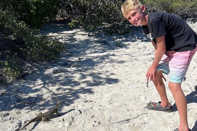 3hr Clear Kayak Tour of Mangroves, Marine Life and Iguanas - What the $134.40 price includes