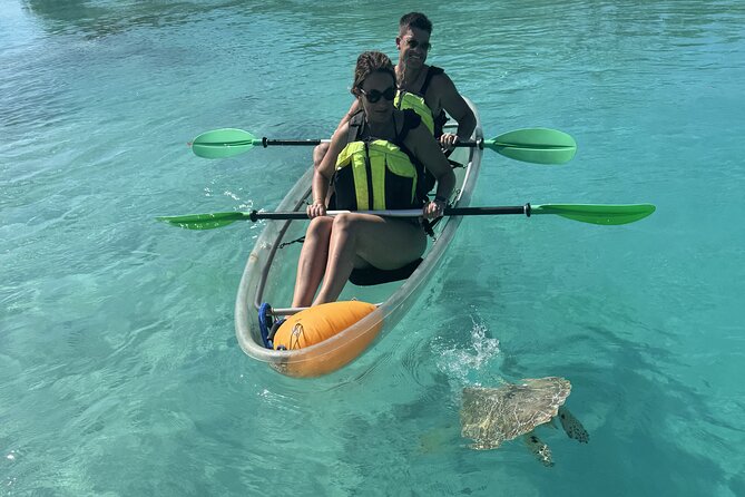 3hr Clear Kayak Tour of Mangroves, Marine Life and Iguanas - My call on the Clear Kayak Tour