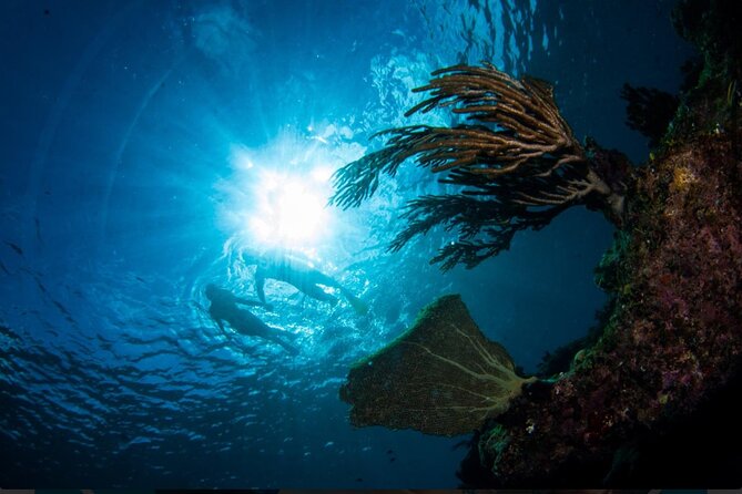 3HR Emerald reef snorkeling, iguana island and shipwreck tour - Is $125 a fair price?