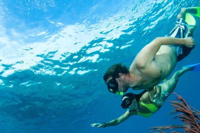 3HR Emerald reef snorkeling, iguana island and shipwreck tour - Who will enjoy this boat trip most?