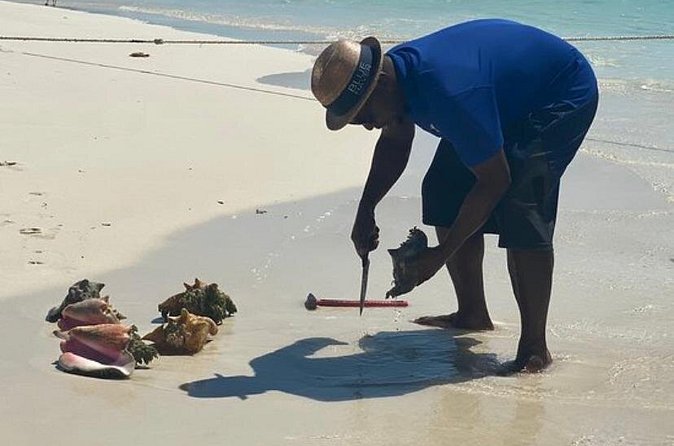 3hr Seaside Scavenger hunt - Is $140 a person good value?