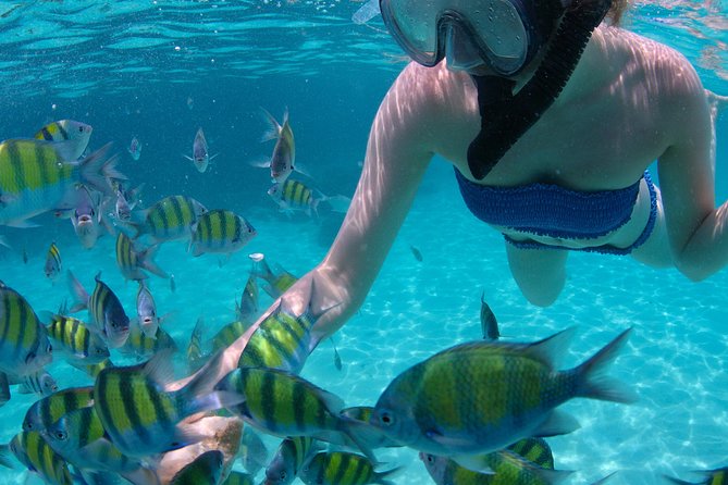4-Hour Catamaran Sail and Snorkel Tour from Grace Bay - Booking details worth knowing