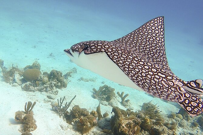 4 Hour Private Catamaran Sail and Snorkel from Grace Bay Beach, Providenciales - Who will enjoy this most