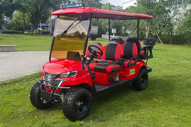 4 Seater Luxury Golf Carts Rental in Grand Turk - Who will enjoy this rental most