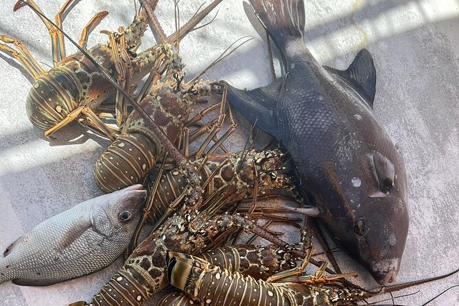 4HR-Halfday Private Fishing Tour in Gracebay - The boat, crew, and onboard atmosphere
