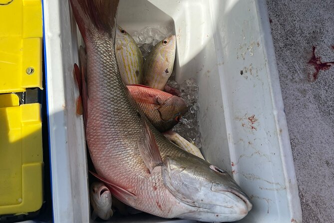 4HR-Halfday Private Fishing Tour in Gracebay - Catching snapper, grouper, yellowtail, and jacks