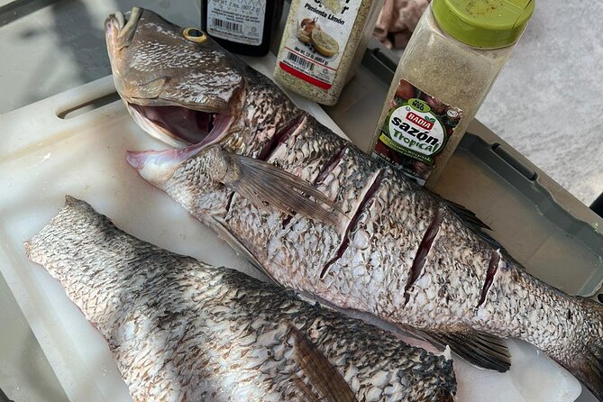 4HR-Halfday Private Fishing Tour in Gracebay - The mechanical problem you should take seriously