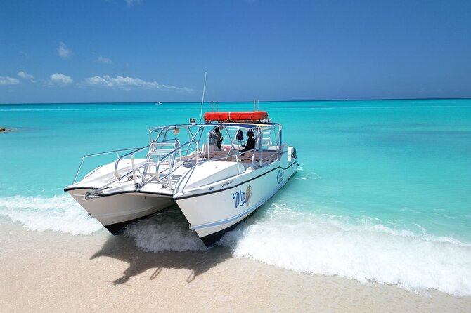 4HR Private Half-day Boat in Gracebay - Little Water Cay and the iguanas