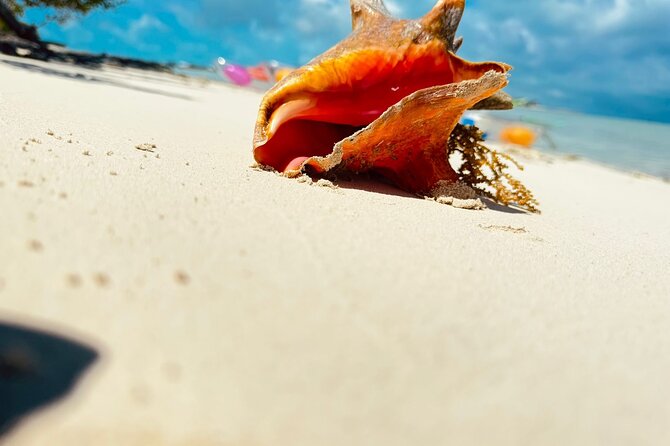 4HR Private Half-day Boat in Gracebay - Snorkeling the reef