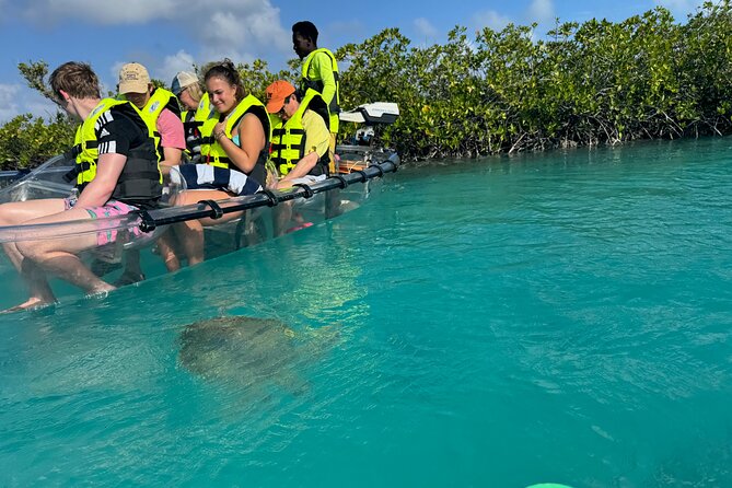 6-Passenger Motorized Clear Kayak Mangrove Tour in Providenciales - Why this clear kayak feels different