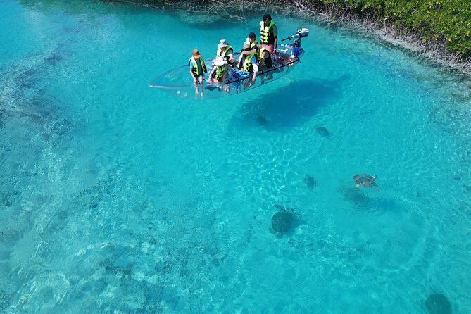 6-Passenger Motorized Clear Kayak Mangrove Tour in Providenciales - What is included and what you should bring
