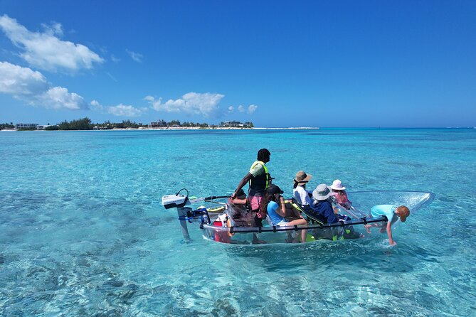 6-Passenger Motorized Clear Kayak Mangrove Tour in Providenciales - Pickup, meeting point, and timing