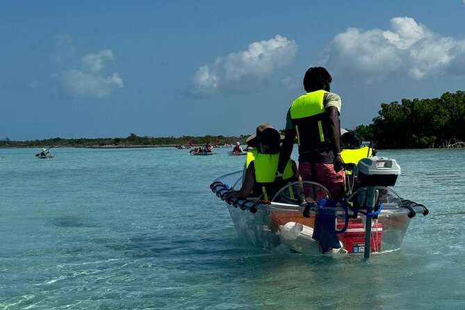 6-Passenger Motorized Clear Kayak Mangrove Tour in Providenciales - Who will enjoy this most