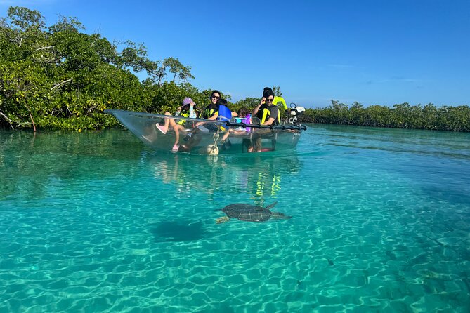 6-Passenger Motorized Clear Kayak Mangrove Tour in Providenciales - Is $482 a fair price?
