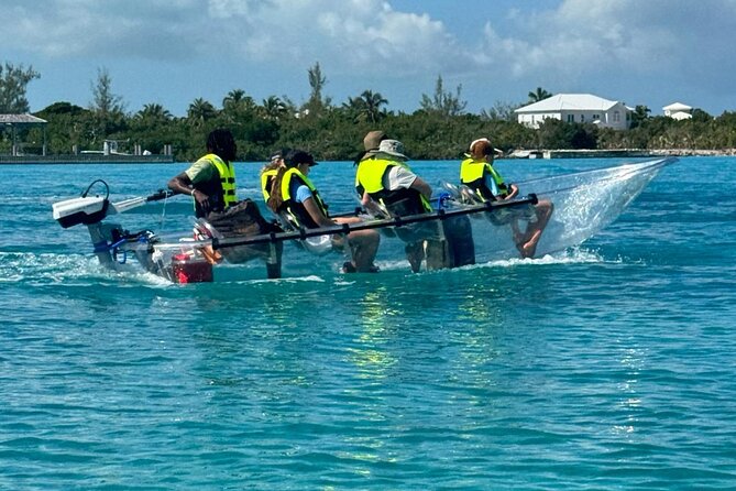 6-Passenger Motorized Clear Kayak Mangrove Tour in Providenciales - Wildlife worth watching for
