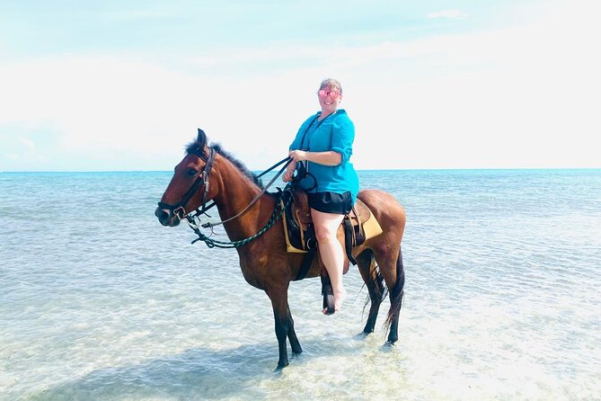 60-Minute Private Horseback Riding Experience in Turks and Caicos - Getting comfortable in the saddle before the shoreline ride