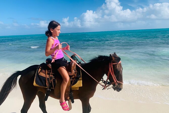 60-Minute Private Horseback Riding Experience in Turks and Caicos - Riding along the quieter Providenciales shore