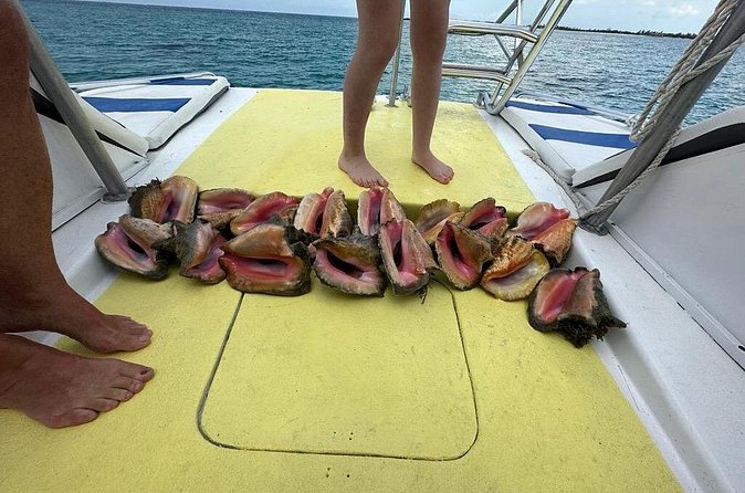 6HR-Provo Cays exploration with Lunch in Gracebay - The transportation charge needs a clear answer