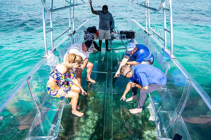 75 Minutes Clear Boat Tour in Caicos Island - What you might see below the boat