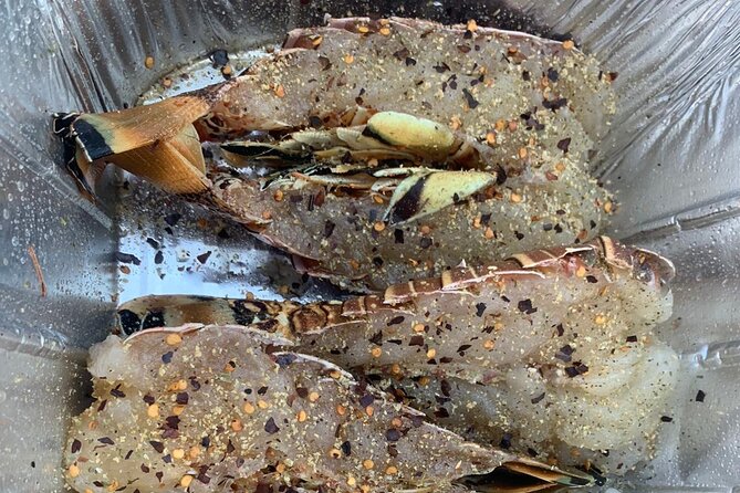 8HR Catch and Grill in Turks and Caicos Islands - Who should book this experience?