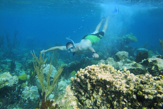 8HR Fullday Private Boat in Gracebay - Who Will Get the Most From This Boat Trip