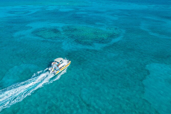Afternoon Half Day Cruise from Providenciales with Snorkeling and Iguana Island - A Four-Hour Cruise That Gives You Three Different Experiences