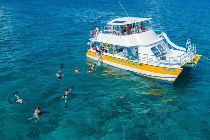 Afternoon Half Day Cruise from Providenciales with Snorkeling and Iguana Island - Crew Service Can Shape the Whole Afternoon