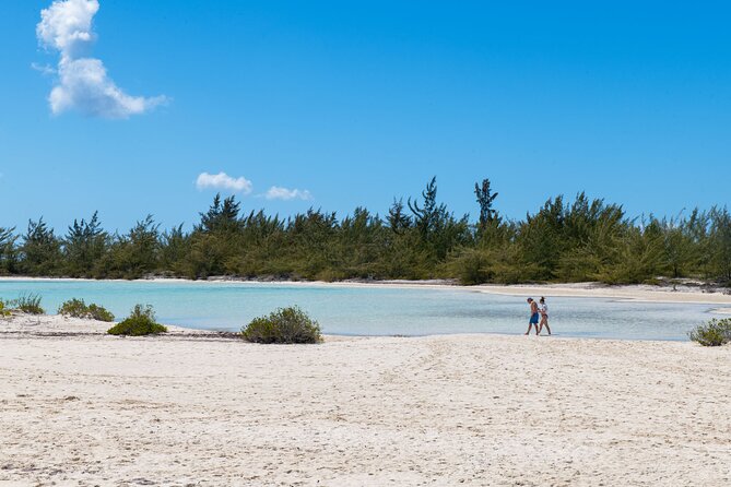 Afternoon Half Day Cruise from Providenciales with Snorkeling and Iguana Island - What $159.30 Buys You
