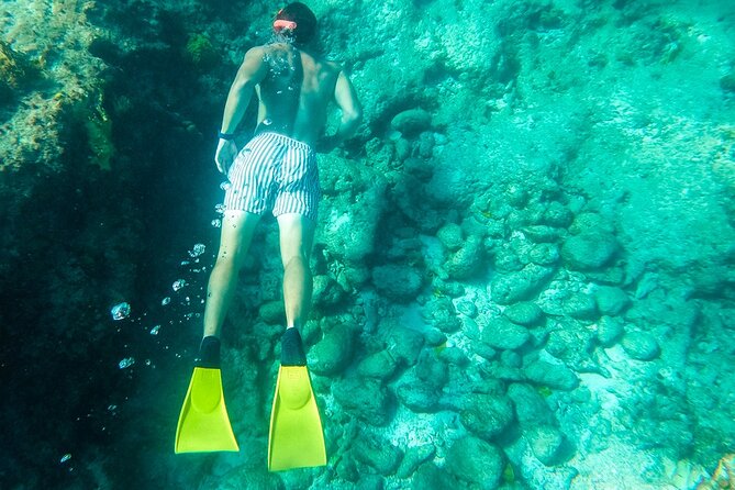 All Day Adventure with a Beach BBQ Feast from Providenciales - Second snorkel at Pine Cay Reef