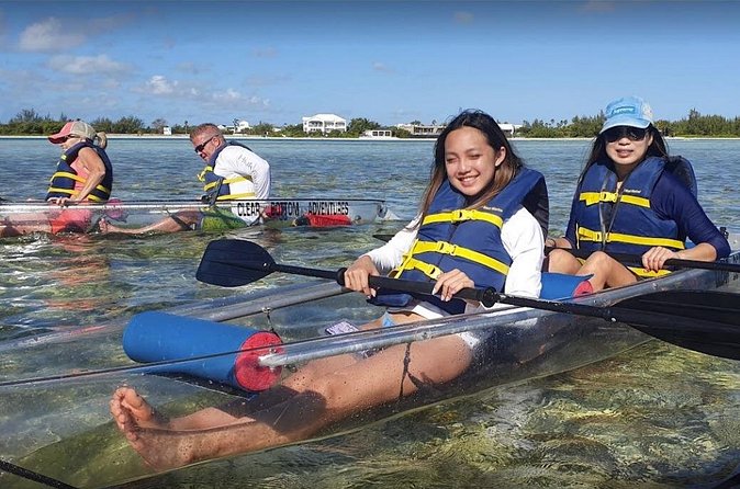 Clear Bottom Kayaks Mangrove and Iguana Tour - Iguana beach brings a different kind of wildlife