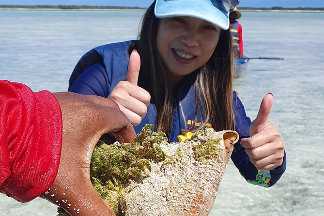 Clear Bottom Kayaks Mangrove Tour - Timing Your Morning for Better Value