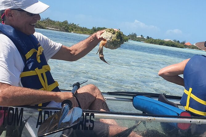 Clear Bottom Kayaks Mangrove Tour - Who Will Enjoy This Tour Most