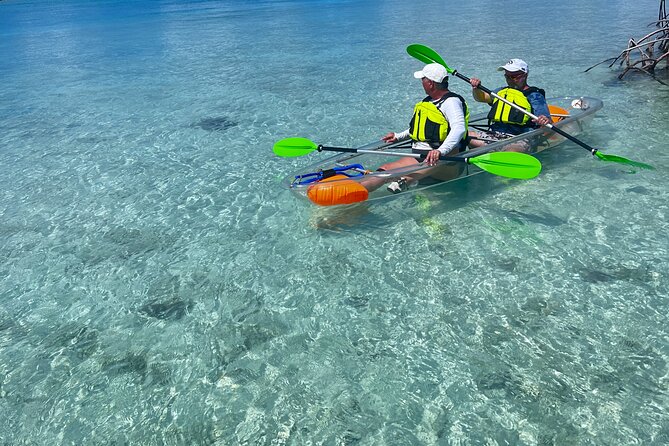 Clear Kayak Eco Tour Explore Mangroves and Meet the Turtles - The guides are a major part of the experience