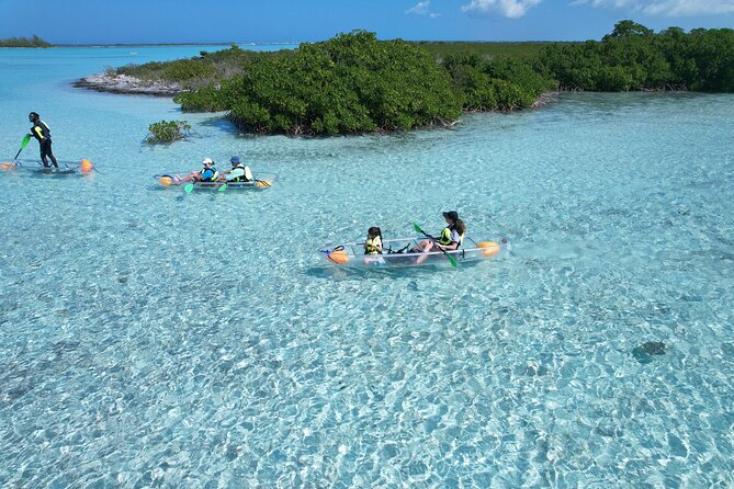 Clear Kayak Eco Tour Explore Mangroves and Meet the Turtles - Timing, pickup, and the $112 price