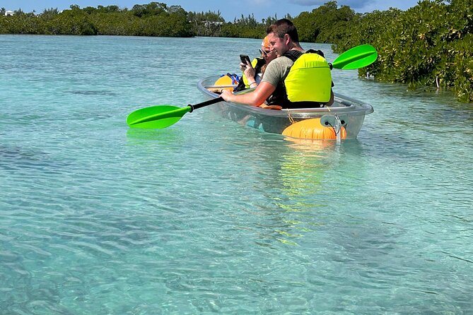 Clear Kayak Eco Tour Explore Mangroves and Meet the Turtles - Who will enjoy this most?