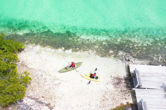 Clear kayak Grand Turk Island Kayak Tour of the mangroves - A private paddle with a young operator