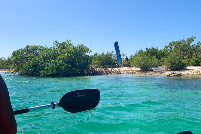 Clear kayak Grand Turk Island Kayak Tour of the mangroves - Meeting at Grand Turk Cruise Port