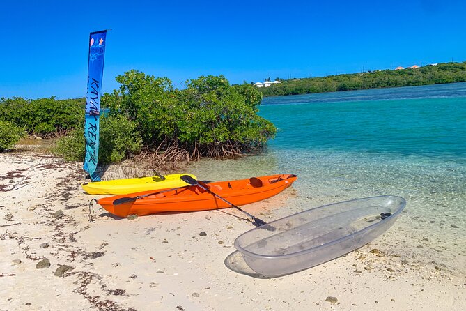 Clear kayak Grand Turk Island Kayak Tour of the mangroves - Who will enjoy this Grand Turk kayak tour?