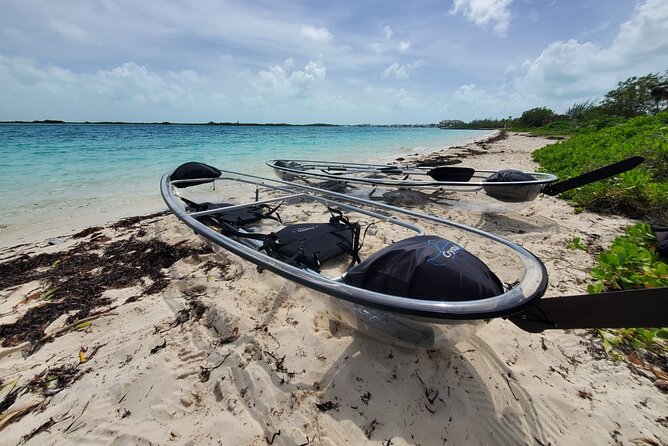 Clear Kayak Mangrove Eco Tour - Paddling Through Half Moon Bay’s Mangroves