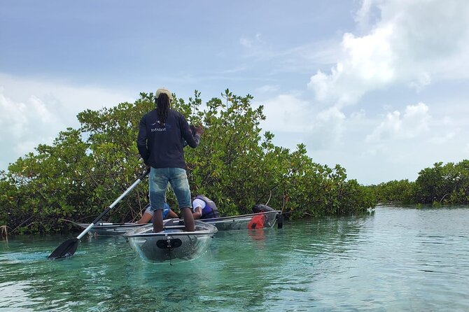 Clear Kayak Mangrove Eco Tour - What the Clear Kayak Changes