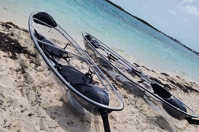 Clear Kayak Mangrove Eco Tour - The Guide Adds More Than Directions